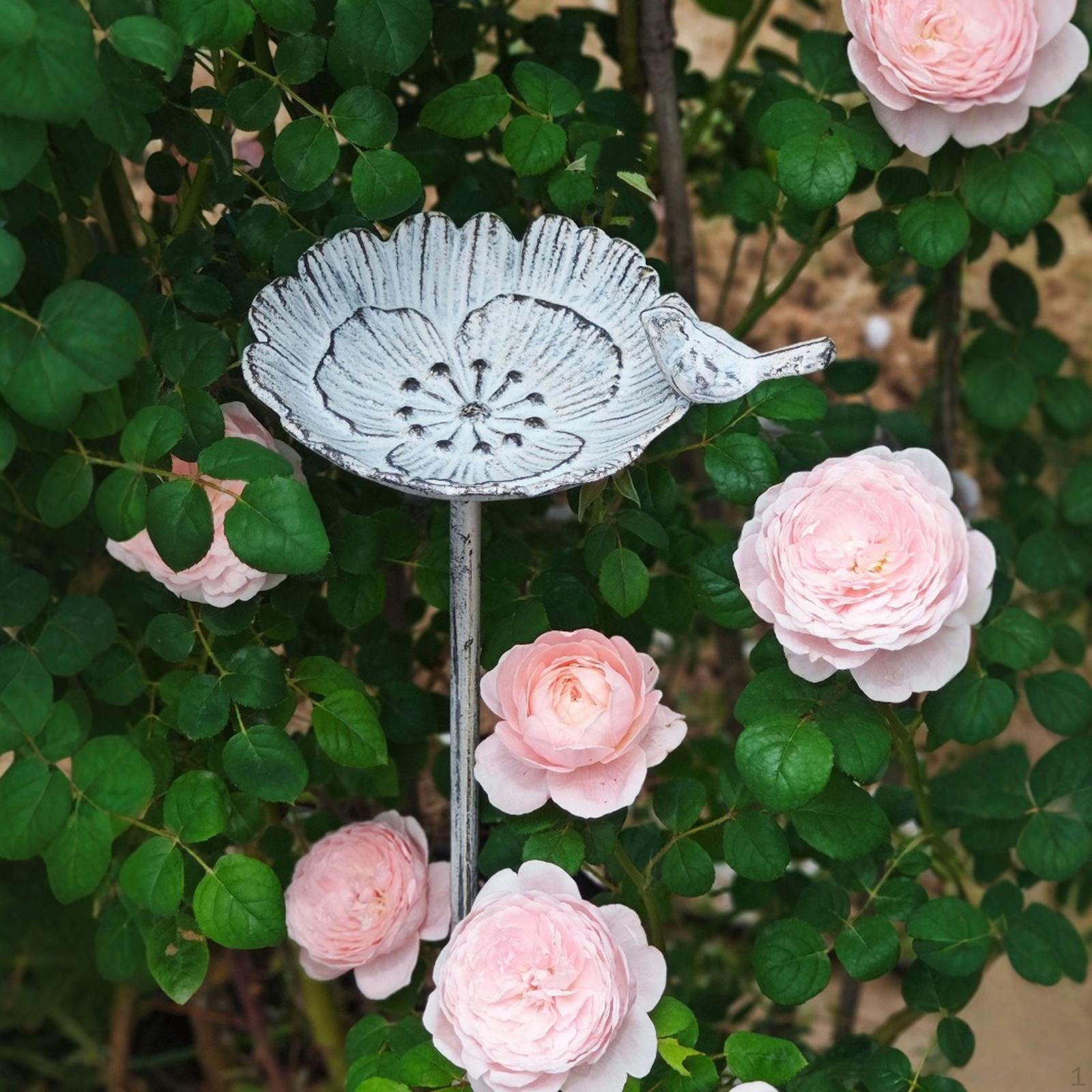Bird Bath Bowl Decor Iron Metal Easy Installation Drinker Plate Garden Birdbath Birdfeeder for Deck
Bird Bath Bowl Decor Iron Metal Easy Installation Drinker Plate Garden Birdbath Birdfeeder for Deck