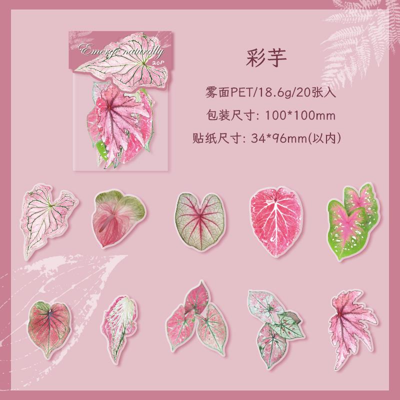 20 pcs Plants Flowers Leaf PET Sticker pack Hand Account Collage Junk Journal Planner Scrapbooking Decor Stationery Stickers
20 pcs Plants Flowers Leaf PET Sticker pack Hand Account Collage Junk Journal Planner Scrapbooking Decor Stationery Stickers