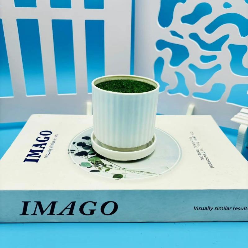 Вертикальные узорные круглые пластиковые флокированные цветочные горшки с поддонами и мини-маленькими вазами можно использовать для цветочной композиции small
Вертикальные узорные круглые пластиковые флокированные цветочные горшки с поддонами и мини-маленькими вазами можно использовать для цветочной композиции small