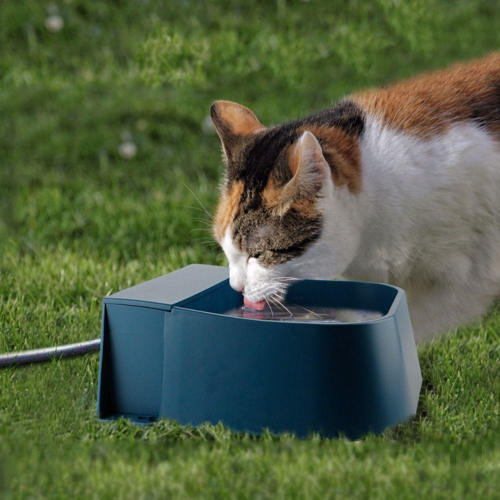 Float Valve Automatic Water Feeder Bowl Auto-Fill Drinker Dog Bowl Pet Bowl Pet Drinker Bowl Dog синій
Float Valve Automatic Water Feeder Bowl Auto-Fill Drinker Dog Bowl Pet Bowl Pet Drinker Bowl Dog синій
