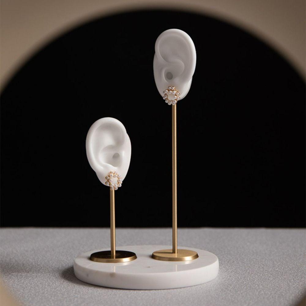 Microlandscape Soft Storage Frame Jewelry Display Rack Ear Model Stud Holder Earring Stand
Microlandscape Soft Storage Frame Jewelry Display Rack Ear Model Stud Holder Earring Stand