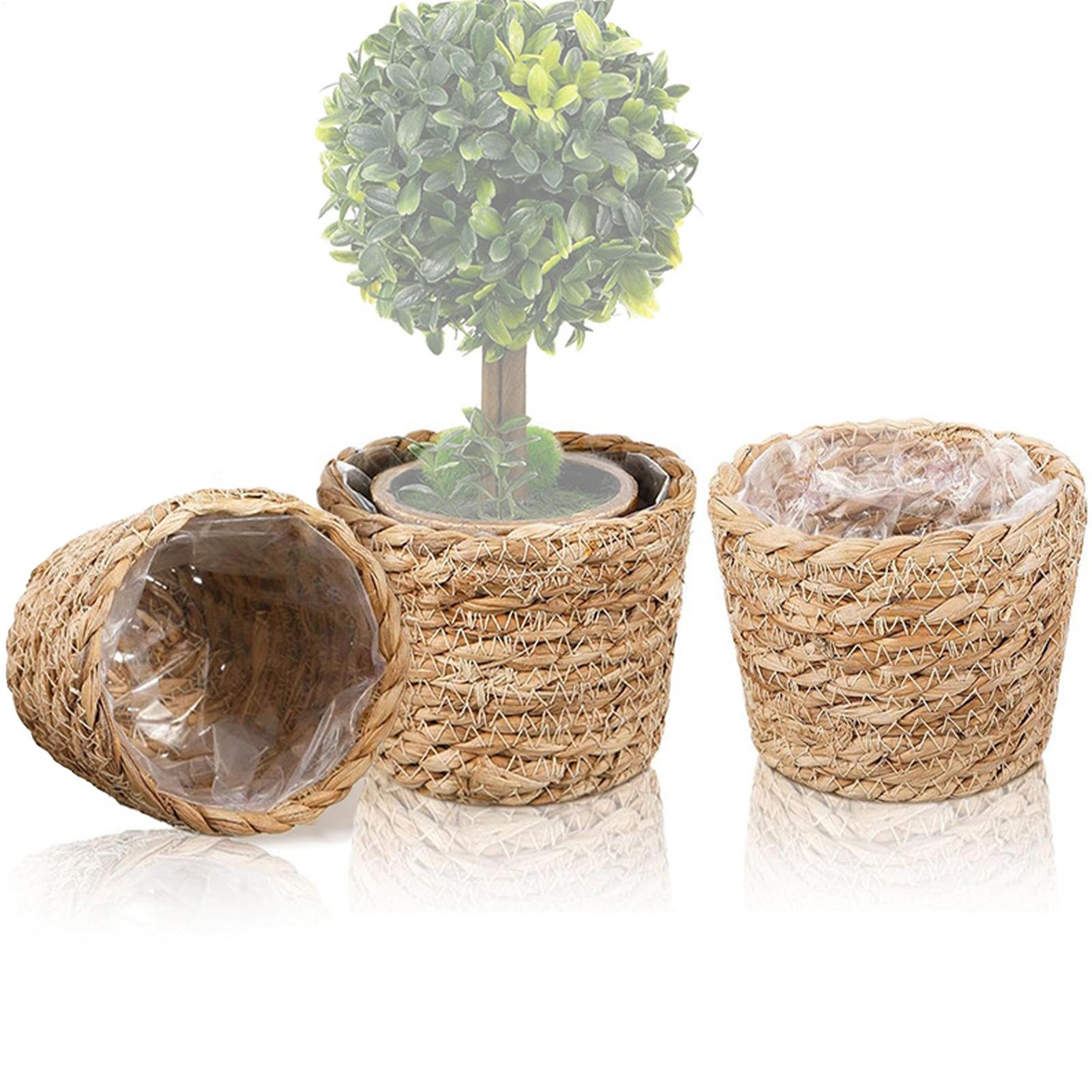 3pcs Imitation Woven Flower Pot Basket Desktop Flower Pot Leak-Proof With Waterproof Lining Outdoor Basket Planter China Mainland
3pcs Imitation Woven Flower Pot Basket Desktop Flower Pot Leak-Proof With Waterproof Lining Outdoor Basket Planter China Mainland