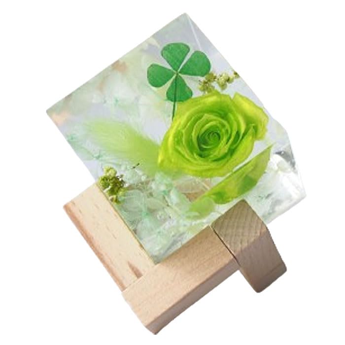 Crystal Herbarium Clover x 1 Flower Gift Clover Hardens Hardens Flower Cube Preserved Flower Artrium Birthday Thank You Celebration Four-leaf зелёный
Crystal Herbarium Clover x 1 Flower Gift Clover Hardens Hardens Flower Cube Preserved Flower Artrium Birthday Thank You Celebration Four-leaf зелёный