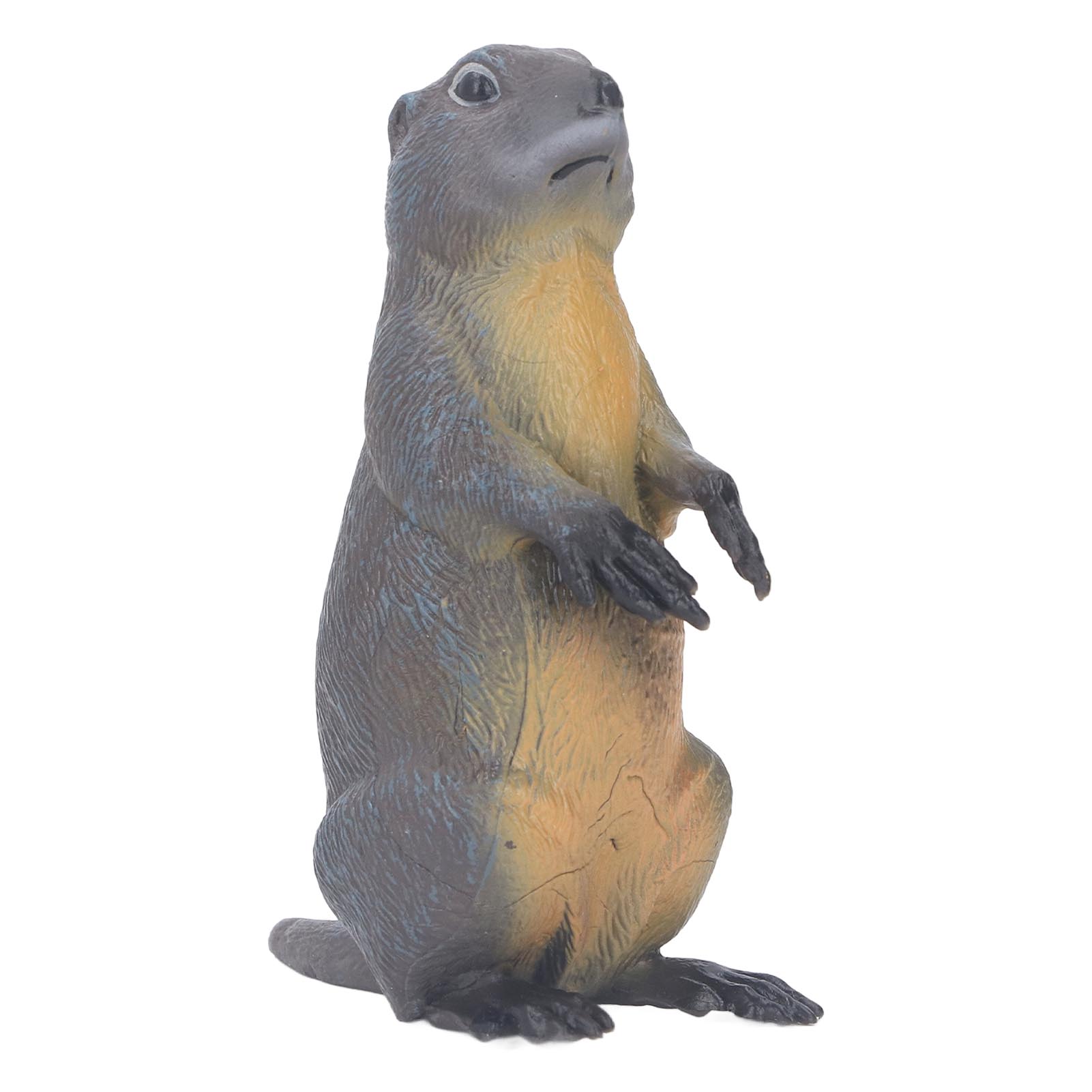 Groundhog Statue Toy Wild Animal Figurine Model Simulation Animal Plastic Sculpture for Home
Groundhog Statue Toy Wild Animal Figurine Model Simulation Animal Plastic Sculpture for Home