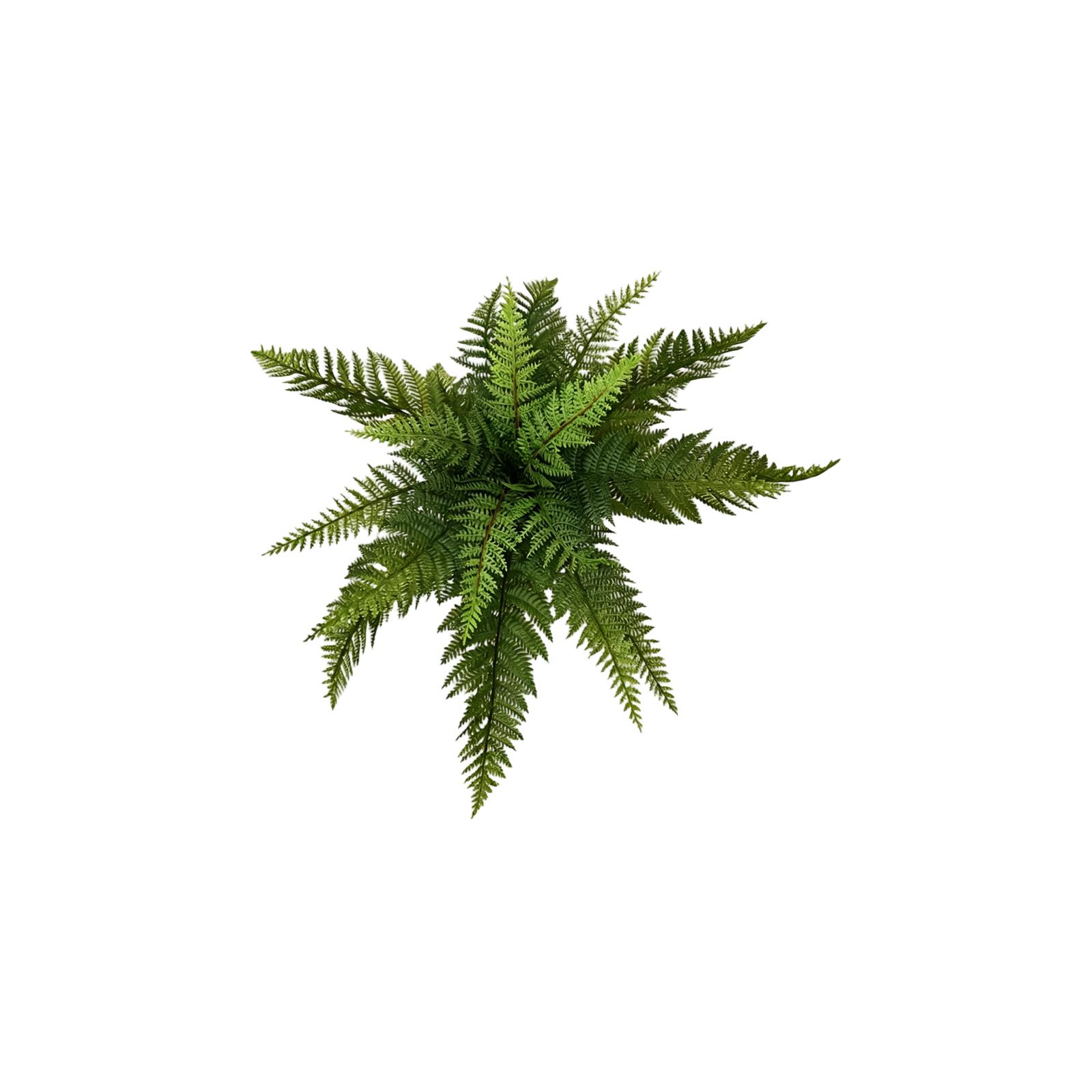 Artificial Fern Plant, Lifelike Fern Bush For Indoor Outdoor Home Decor One Size
Artificial Fern Plant, Lifelike Fern Bush For Indoor Outdoor Home Decor One Size
