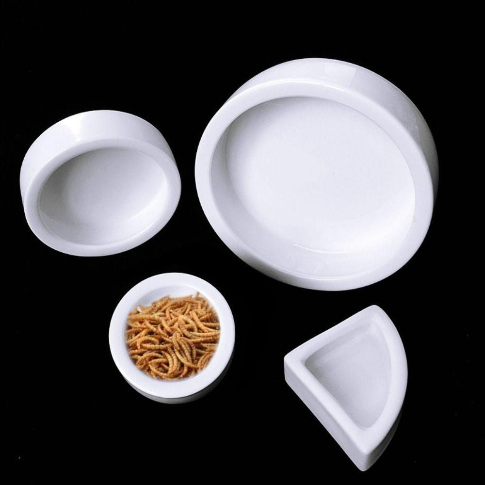Escape Proof Lizard Food Pot Ceramic Reptile Feeding Dish Creative Pet Supplies Amphibians
Escape Proof Lizard Food Pot Ceramic Reptile Feeding Dish Creative Pet Supplies Amphibians