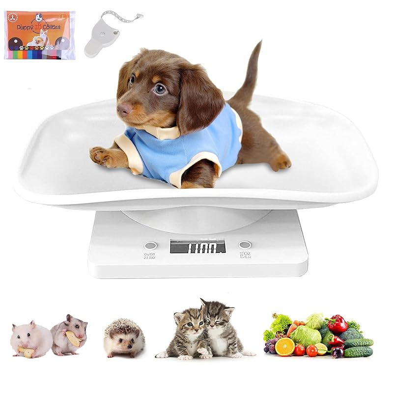 pet scale pet scale small animal scale up to 10kg digital scale pet weight scale small size digital 1g unit Y-shaped measuring tape with 15 colored
pet scale pet scale small animal scale up to 10kg digital scale pet weight scale small size digital 1g unit Y-shaped measuring tape with 15 colored