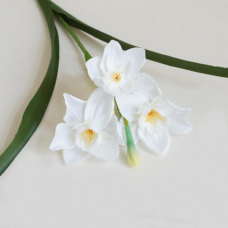 3/5/10pcs Artificial Daffodils Flowers White Narcissus Spring Flower Fake Silk Flower Arrangement for Home Wedding Outdoor Decor 5pcs білий
3/5/10pcs Artificial Daffodils Flowers White Narcissus Spring Flower Fake Silk Flower Arrangement for Home Wedding Outdoor Decor 5pcs білий