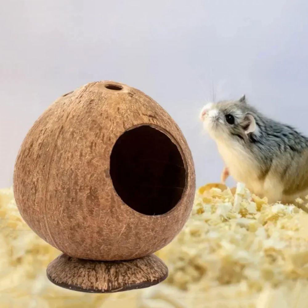 Stable Structure Guinea-pig Nest Scratch-resistance Hamster Nest Toy Chew Exercise hamster house
Stable Structure Guinea-pig Nest Scratch-resistance Hamster Nest Toy Chew Exercise hamster house