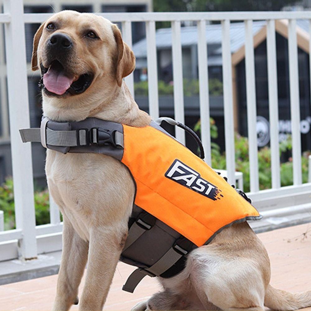 Super Buoyancy Dog Safety Vest Reflective Puppy Swimsuit Practical Pet Clothes Surfing Drifting S зелений
Super Buoyancy Dog Safety Vest Reflective Puppy Swimsuit Practical Pet Clothes Surfing Drifting S зелений