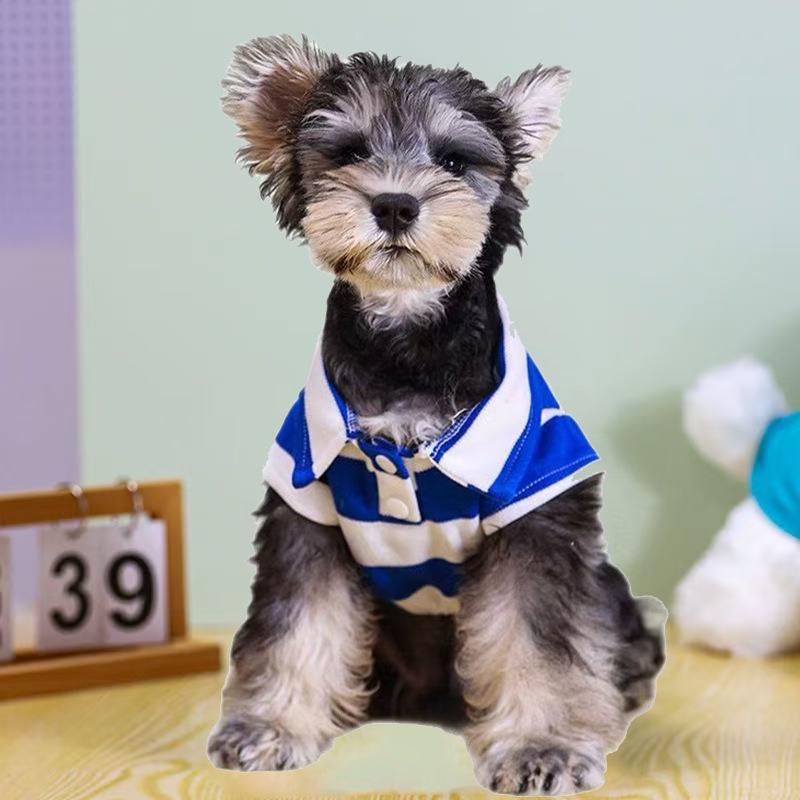 Striped Polo Shirt for Pets: Fits Teddy Bears, Bichons, Pomeranians, French Bulldogs, and Cats XS
Striped Polo Shirt for Pets: Fits Teddy Bears, Bichons, Pomeranians, French Bulldogs, and Cats XS