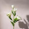 Artificial Flowers Core Content Artificial Eustoma Flower Bouquets for Home Decor Hotel Weddings Lifelike Fake Eustoma Flowers зелёный
Artificial Flowers Core Content Artificial Eustoma Flower Bouquets for Home Decor Hotel Weddings Lifelike Fake Eustoma Flowers зелёный