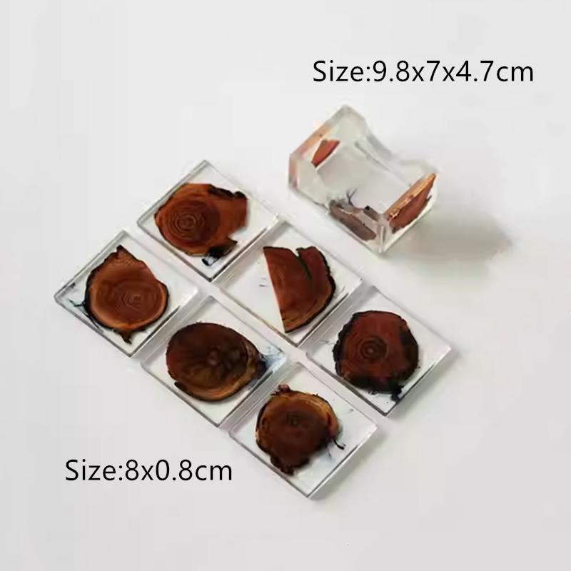 1 Set Chinese Resin Tea Tray Storage Rack Teapot Tray Round Small Coaster Insulation Teacup Mat Household Teaware Accessories
1 Set Chinese Resin Tea Tray Storage Rack Teapot Tray Round Small Coaster Insulation Teacup Mat Household Teaware Accessories