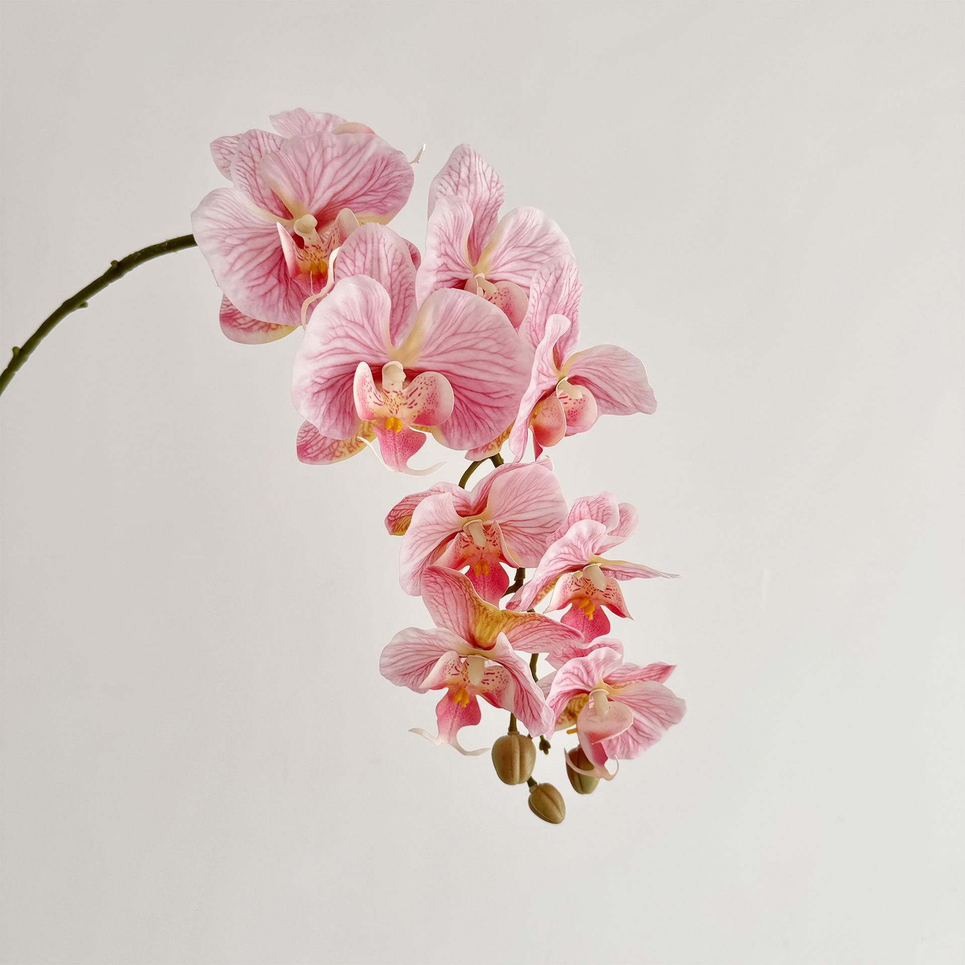 1pc 90cm Artificial Flower Phalaenopsis Wedding Home Decoration Fake Flowers Hotel Flower Arrangement Background розовый
1pc 90cm Artificial Flower Phalaenopsis Wedding Home Decoration Fake Flowers Hotel Flower Arrangement Background розовый