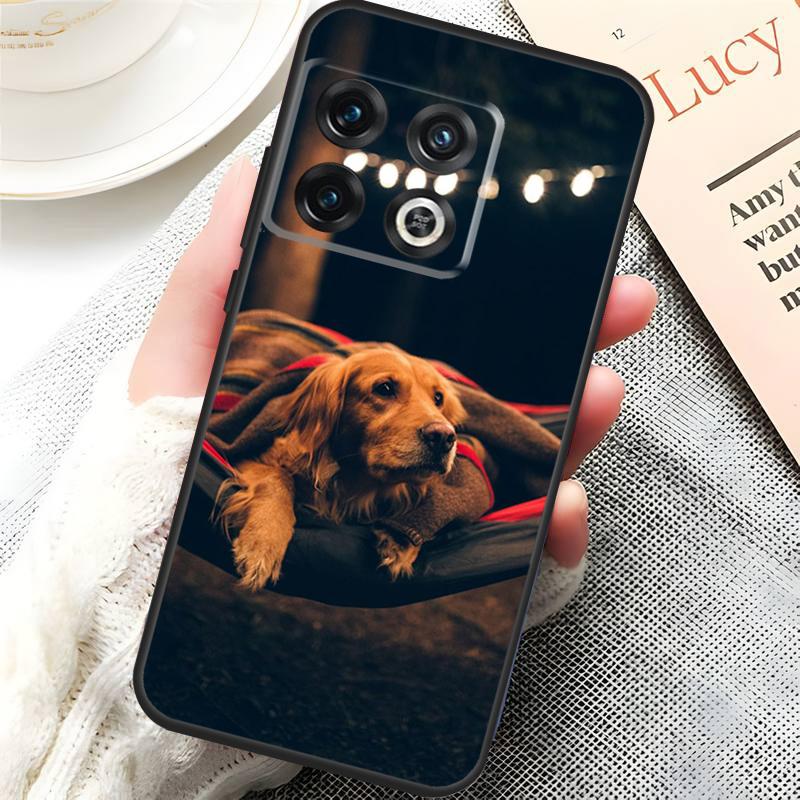 Golden Retriever Friend Cover For OnePlus 15 13 13R 13T 12 12R 10T 11 10 Pro OnePlus Nord 5 CE 4 3 Lite N20 N30 Case OnePlus 10Pro
Golden Retriever Friend Cover For OnePlus 15 13 13R 13T 12 12R 10T 11 10 Pro OnePlus Nord 5 CE 4 3 Lite N20 N30 Case OnePlus 10Pro