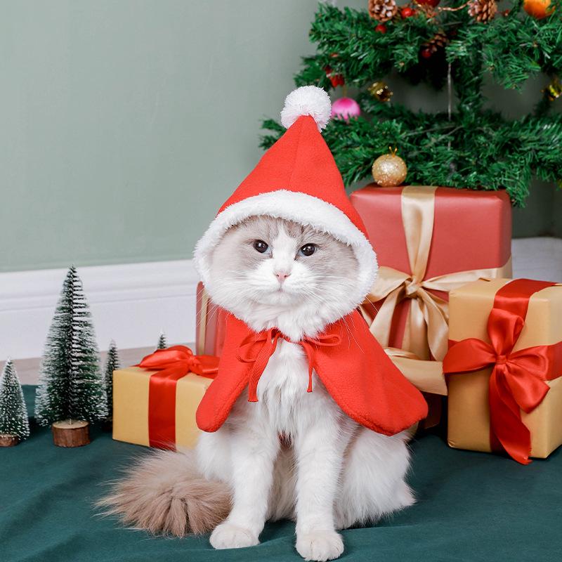 British Shorthair Hairless Cat Christmas Shawl: Winter Reindeer Design Pet Clothes Medium
British Shorthair Hairless Cat Christmas Shawl: Winter Reindeer Design Pet Clothes Medium
