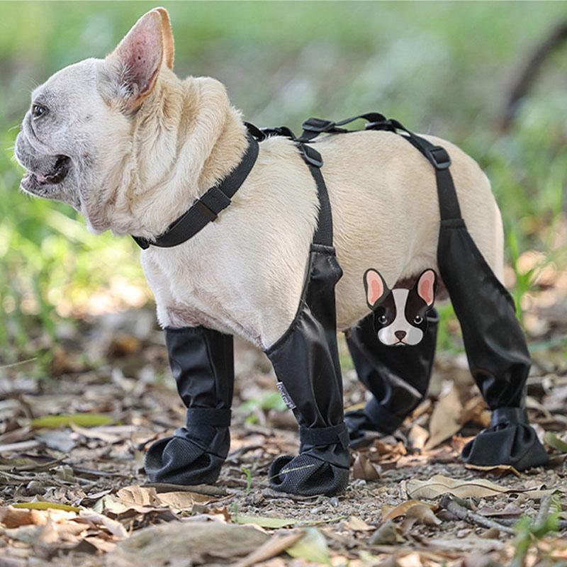 Dog Shoes Waterproof Adjustable Dog Boots Rain Day Pet Supplies Shoes For Dogs Outdoor Walking Soft French Bulldog Paws Protect S чорний
Dog Shoes Waterproof Adjustable Dog Boots Rain Day Pet Supplies Shoes For Dogs Outdoor Walking Soft French Bulldog Paws Protect S чорний