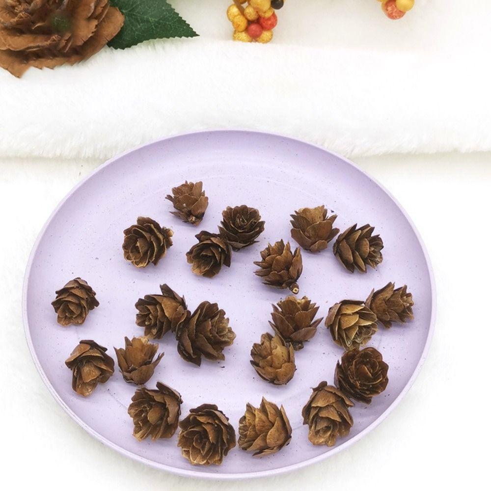 New Year Birthday Party Christmas Tree Decoration Pine Nuts Fake Fruit Vegetable Pine Cones
New Year Birthday Party Christmas Tree Decoration Pine Nuts Fake Fruit Vegetable Pine Cones