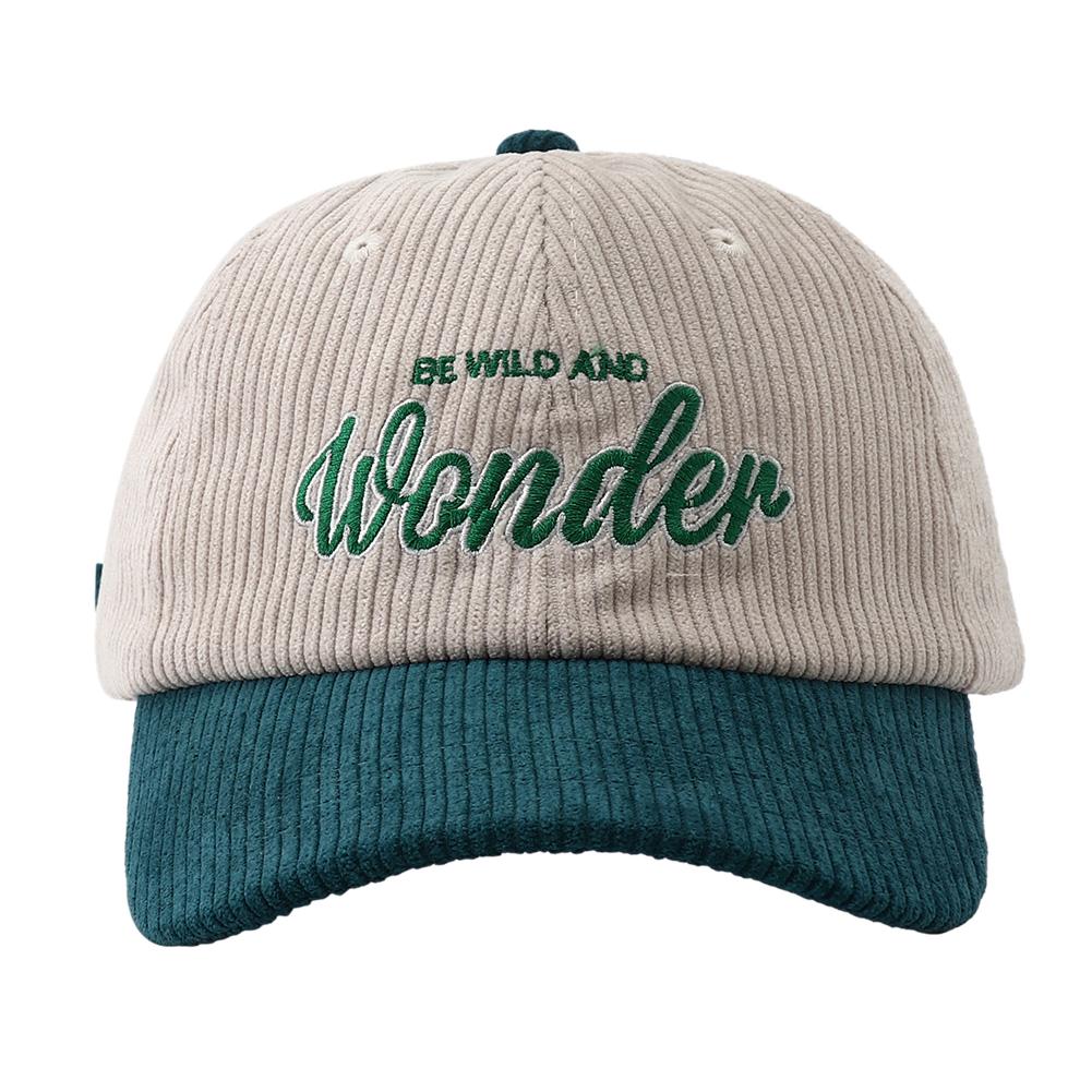 New Autumn Winter Corduroy Baseball Cap Vintage WONDER Letter Embroidery Keep Warm Snapback Hats for Men Women Hip Hop Gorras Adjustable зелёный
New Autumn Winter Corduroy Baseball Cap Vintage WONDER Letter Embroidery Keep Warm Snapback Hats for Men Women Hip Hop Gorras Adjustable зелёный