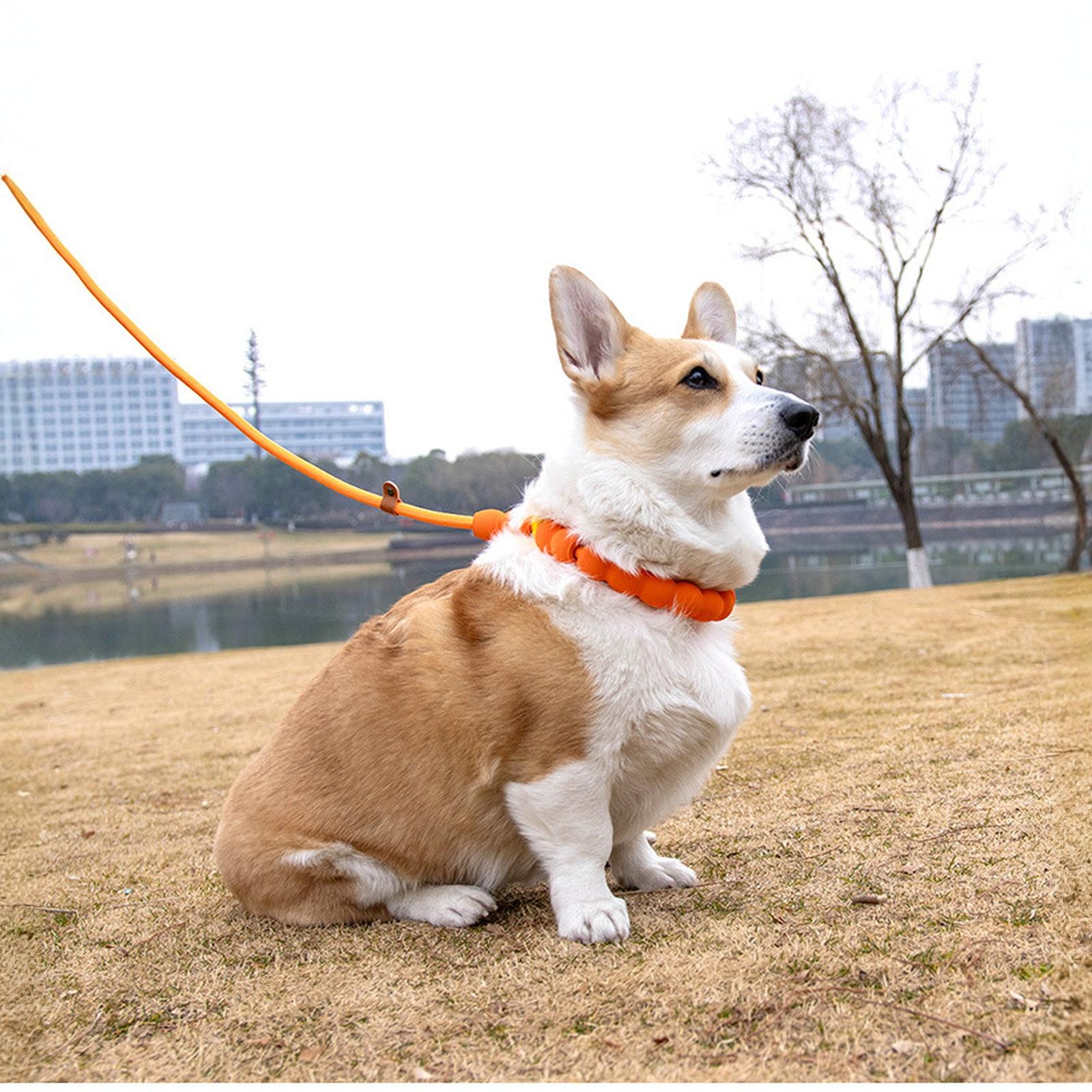 Cloud Bubble Cotton Dog Leash -Chafe -Lost Pet Walking Rope помаранчевий
Cloud Bubble Cotton Dog Leash -Chafe -Lost Pet Walking Rope помаранчевий