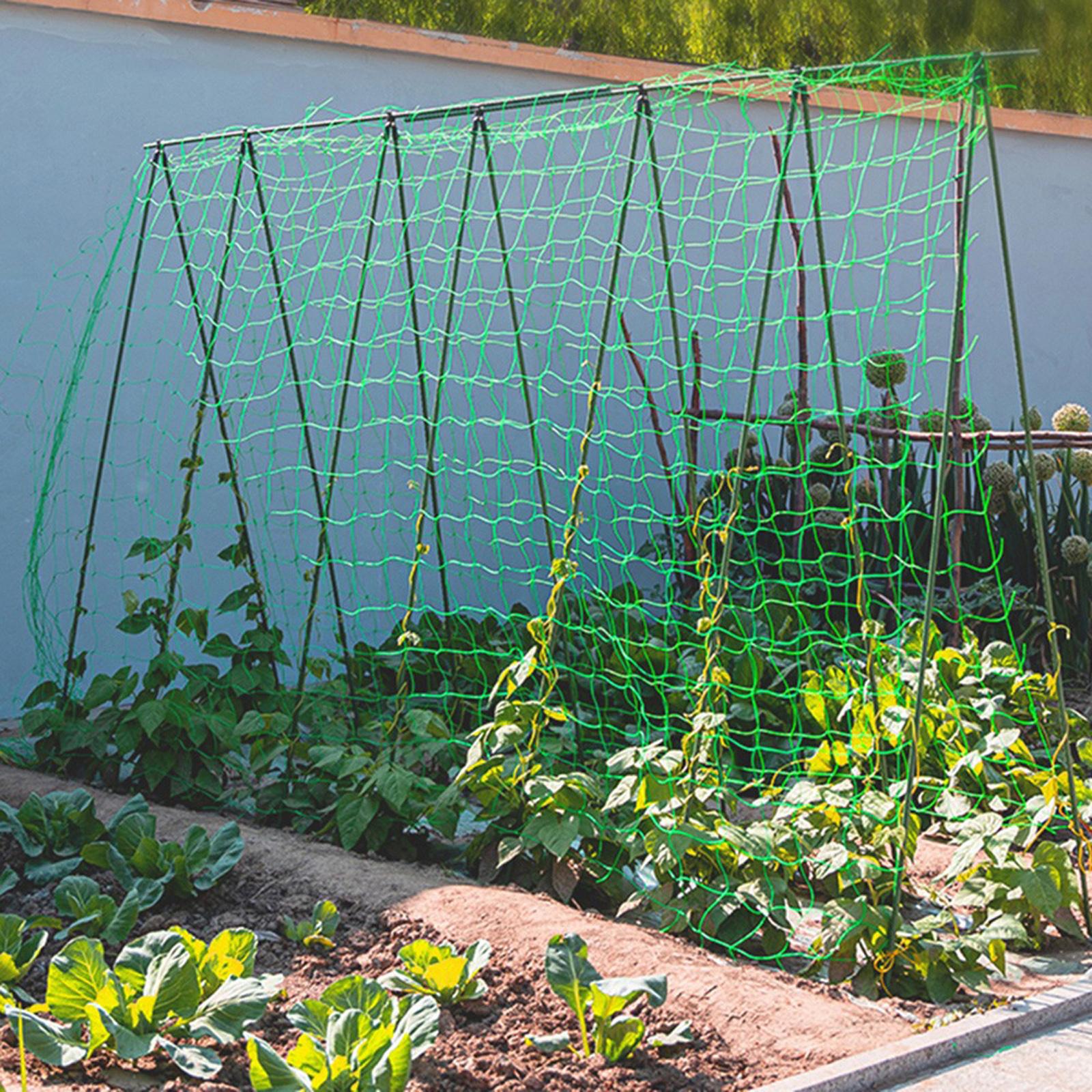 Garden Netting Plant Vine Growing Holder Sturdy Plant Trellis Support Holder Cucumber Hanging Melon Climbing Net Garden Supplies
Garden Netting Plant Vine Growing Holder Sturdy Plant Trellis Support Holder Cucumber Hanging Melon Climbing Net Garden Supplies