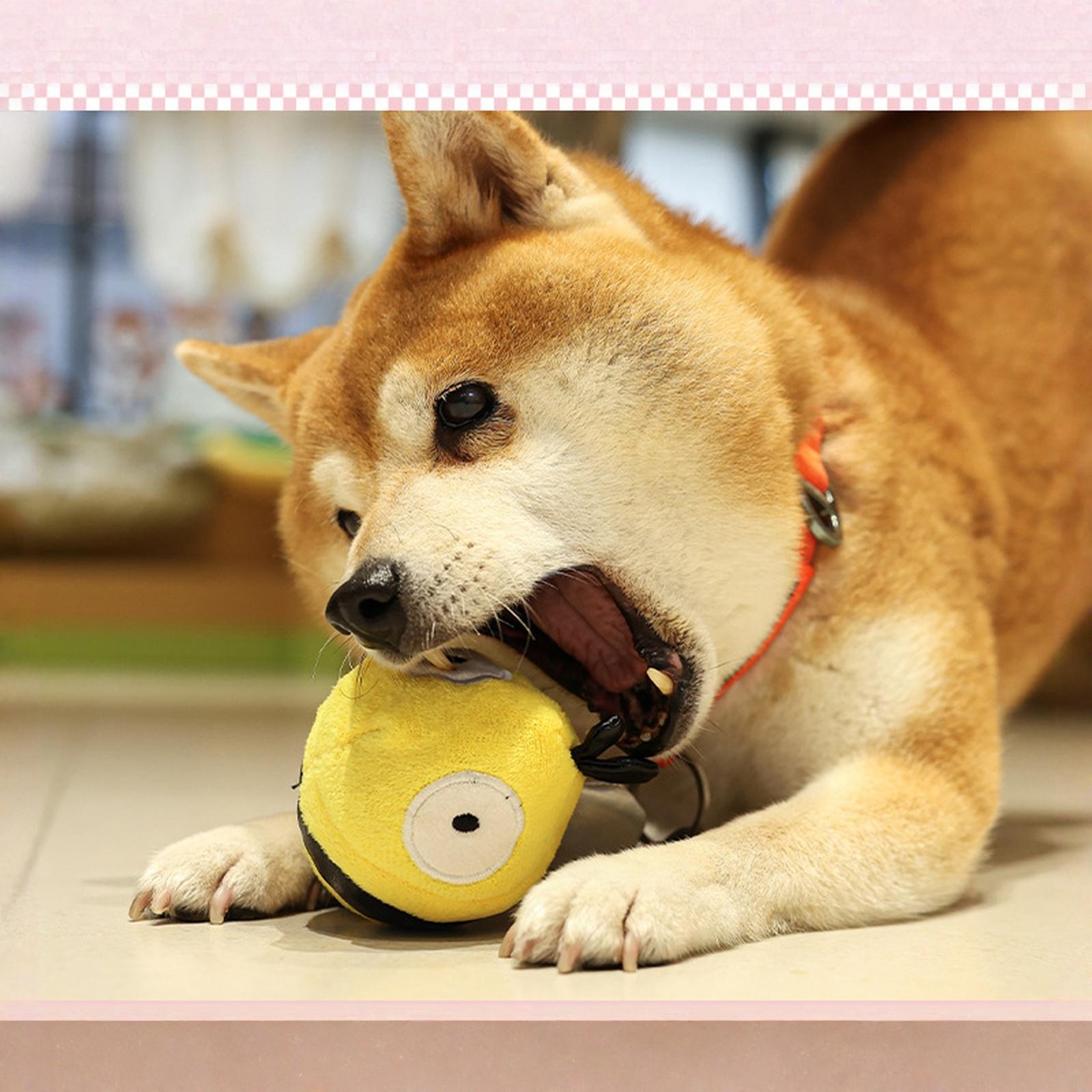 Squeaky Pet Toy Interactive Chew Teeth Grinding Elastic Spike Ball Toy for Dogs one size
Squeaky Pet Toy Interactive Chew Teeth Grinding Elastic Spike Ball Toy for Dogs one size