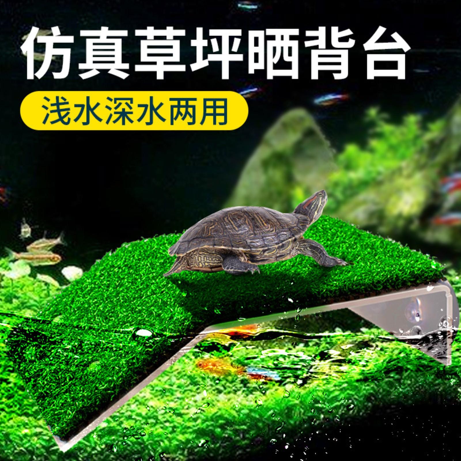 Моделирование травы черепаха гусеница терраса на крыше черепаха бассейн украшения аксессуары One Size
Моделирование травы черепаха гусеница терраса на крыше черепаха бассейн украшения аксессуары One Size