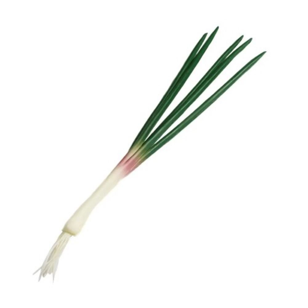 Plant Simulation Овощ Реалистичная Имитация Зеленый Лук Модель Искусственный Зеленый Лук Эскиз 38cm
Plant Simulation Овощ Реалистичная Имитация Зеленый Лук Модель Искусственный Зеленый Лук Эскиз 38cm