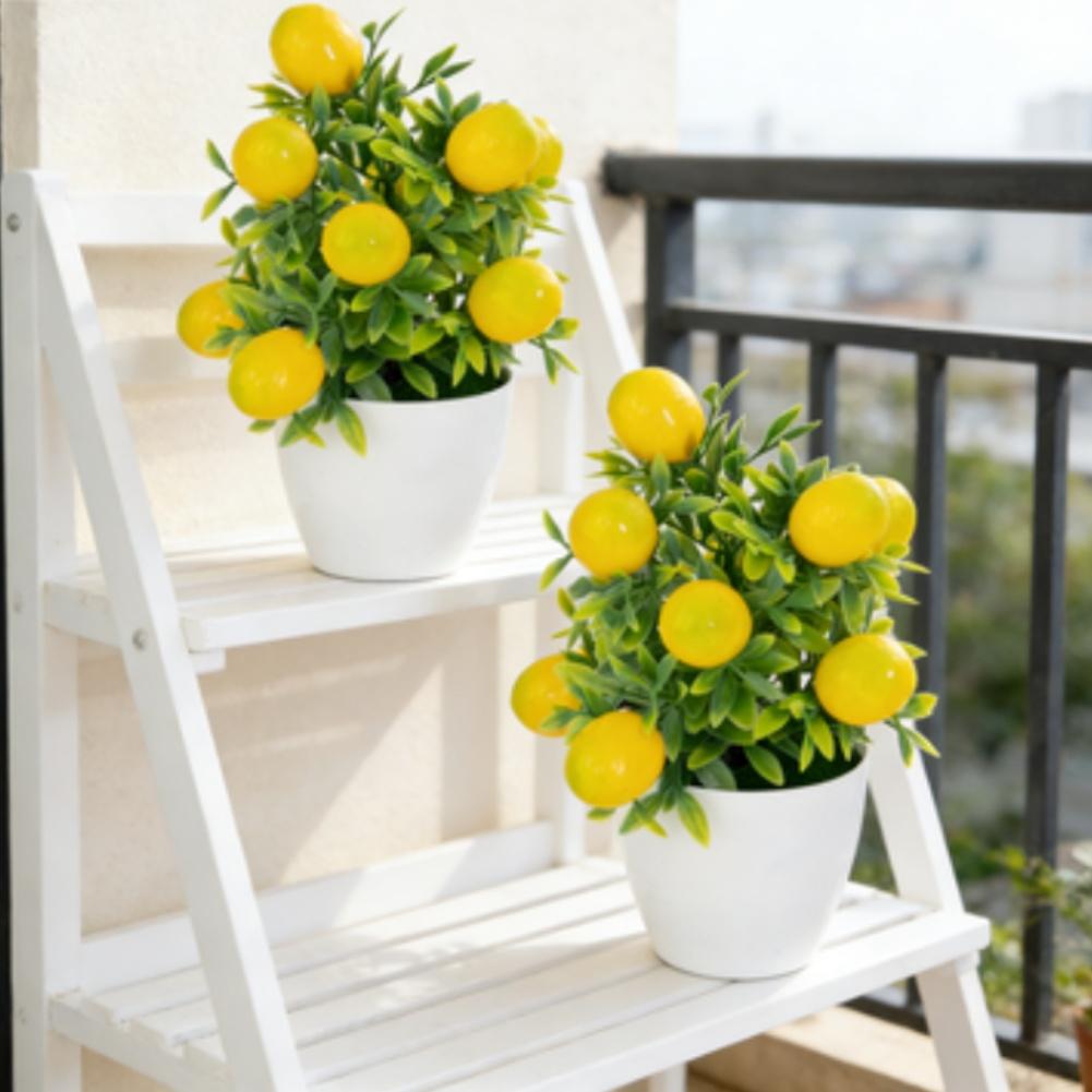 Artificial Lemon Potted Plant for For MINI Desk Decoration with Realistic Fruits and Plastic Leaves for Office Home Use China Mainland
Artificial Lemon Potted Plant for For MINI Desk Decoration with Realistic Fruits and Plastic Leaves for Office Home Use China Mainland