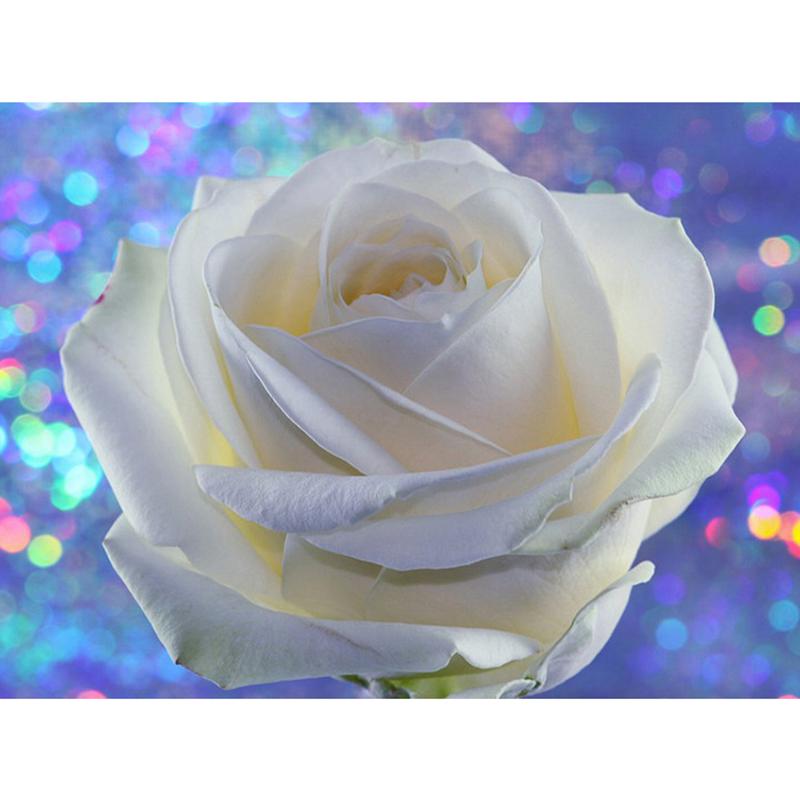 Алмазная картина Круглый алмазный цветок 5D DIY Алмазная вышивка Крестиком Картина Наклейки 20X30CM светло-синий
Алмазная картина Круглый алмазный цветок 5D DIY Алмазная вышивка Крестиком Картина Наклейки 20X30CM светло-синий