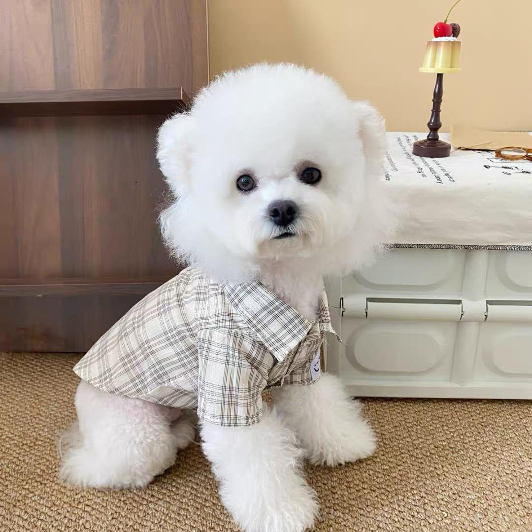 Plaid Bow Skirt for Cats and Dogs - Spring/Summer Birthday Outfit for Small to Medium Pets S (3-5 lbs)
Plaid Bow Skirt for Cats and Dogs - Spring/Summer Birthday Outfit for Small to Medium Pets S (3-5 lbs)