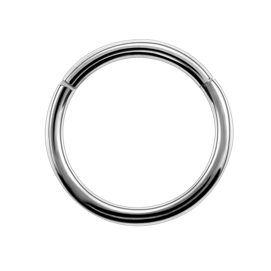 1PC G23 Titanium Hinged Segment Ring Nose Ring Piercing Nipple Ear Septum Tragus Cartilage Clicker Lip Body Jewelry 14G 16G 2.0x16mm
1PC G23 Titanium Hinged Segment Ring Nose Ring Piercing Nipple Ear Septum Tragus Cartilage Clicker Lip Body Jewelry 14G 16G 2.0x16mm