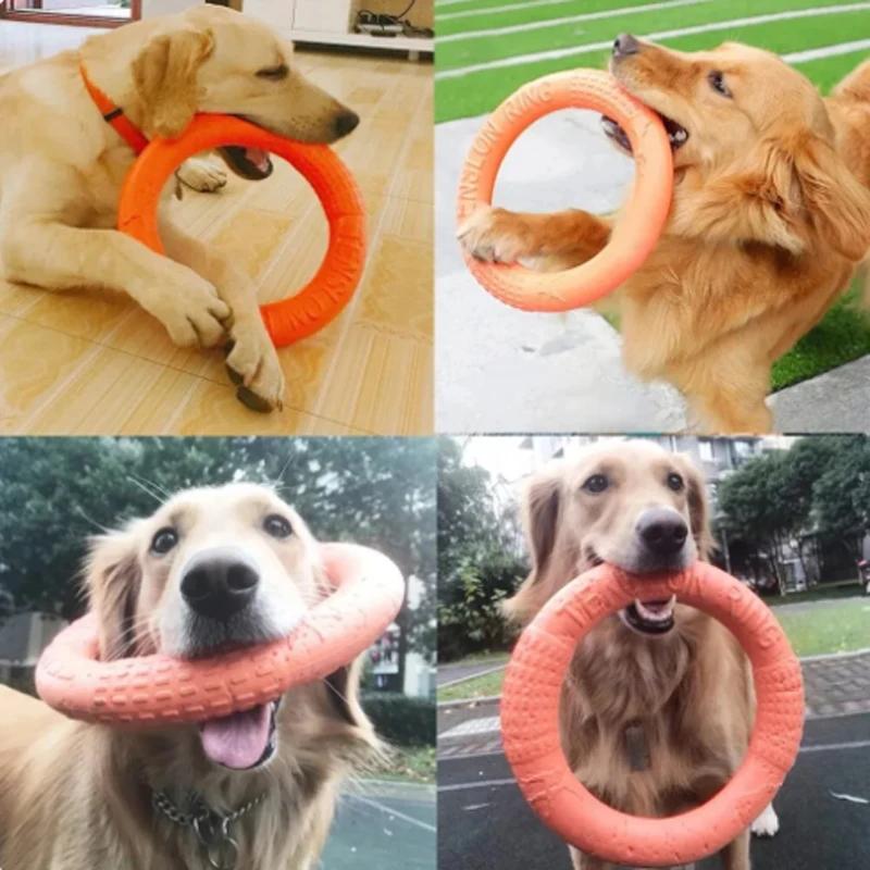 1pc Circle Dog Toy Pet Flying Disc Training Ring Puller EVA Interactive Training Ring Puller Resistance Dog Pet Products
1pc Circle Dog Toy Pet Flying Disc Training Ring Puller EVA Interactive Training Ring Puller Resistance Dog Pet Products