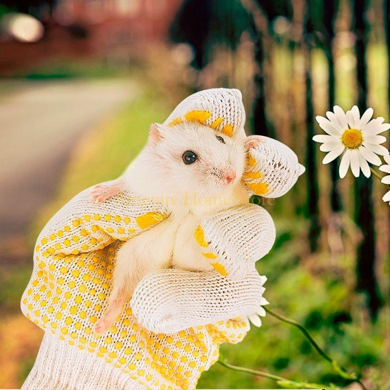 F26C Small Animal Handling Gloves for Parrot Squirrels Hamster Hedgehog Anti Scratch Hedgehog Anti Bite Gloves Safe Touch China Mainland
F26C Small Animal Handling Gloves for Parrot Squirrels Hamster Hedgehog Anti Scratch Hedgehog Anti Bite Gloves Safe Touch China Mainland