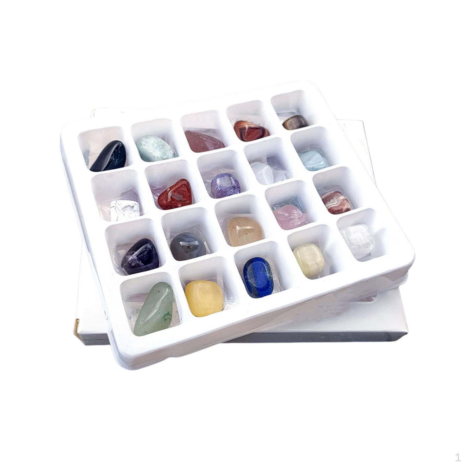 20 Pieces Rocks Collection Box Teaching Aids Ore for Children Birthday Present
20 Pieces Rocks Collection Box Teaching Aids Ore for Children Birthday Present