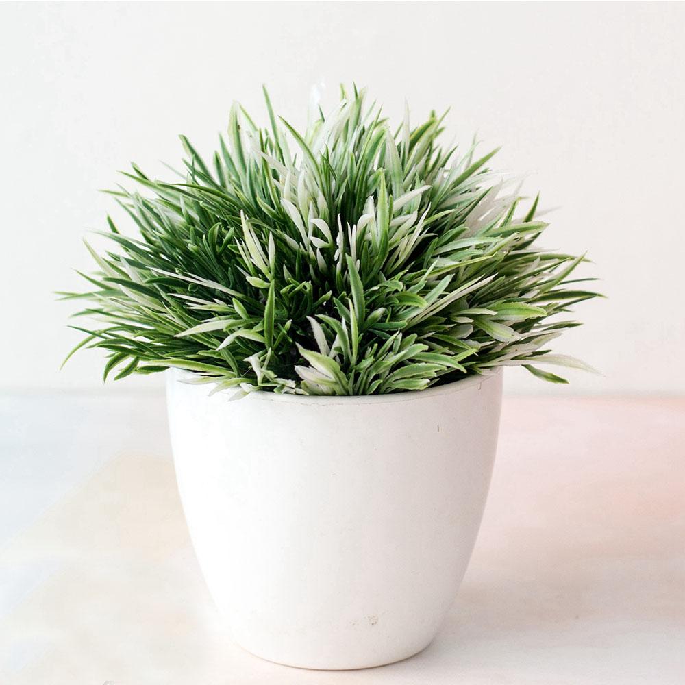 Uflower 14cm Artificial Plants with Plastics Pots Perfect Greenery Bonsai for Home Office Desk Living Room Bedroom Decoration plants with pot білий
Uflower 14cm Artificial Plants with Plastics Pots Perfect Greenery Bonsai for Home Office Desk Living Room Bedroom Decoration plants with pot білий