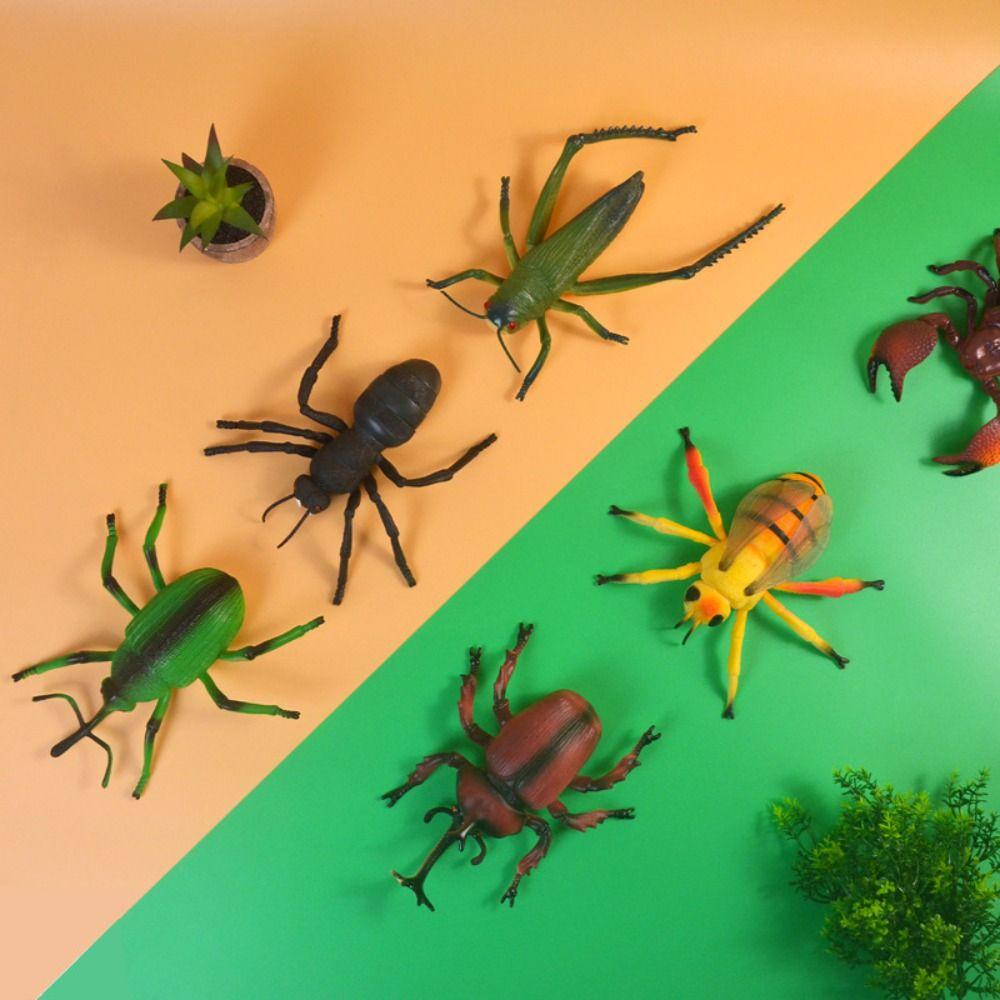 Cricket Simulated Insect Model Grasshopper Simulation Wildlife Model Animal Collection scorpion
Cricket Simulated Insect Model Grasshopper Simulation Wildlife Model Animal Collection scorpion