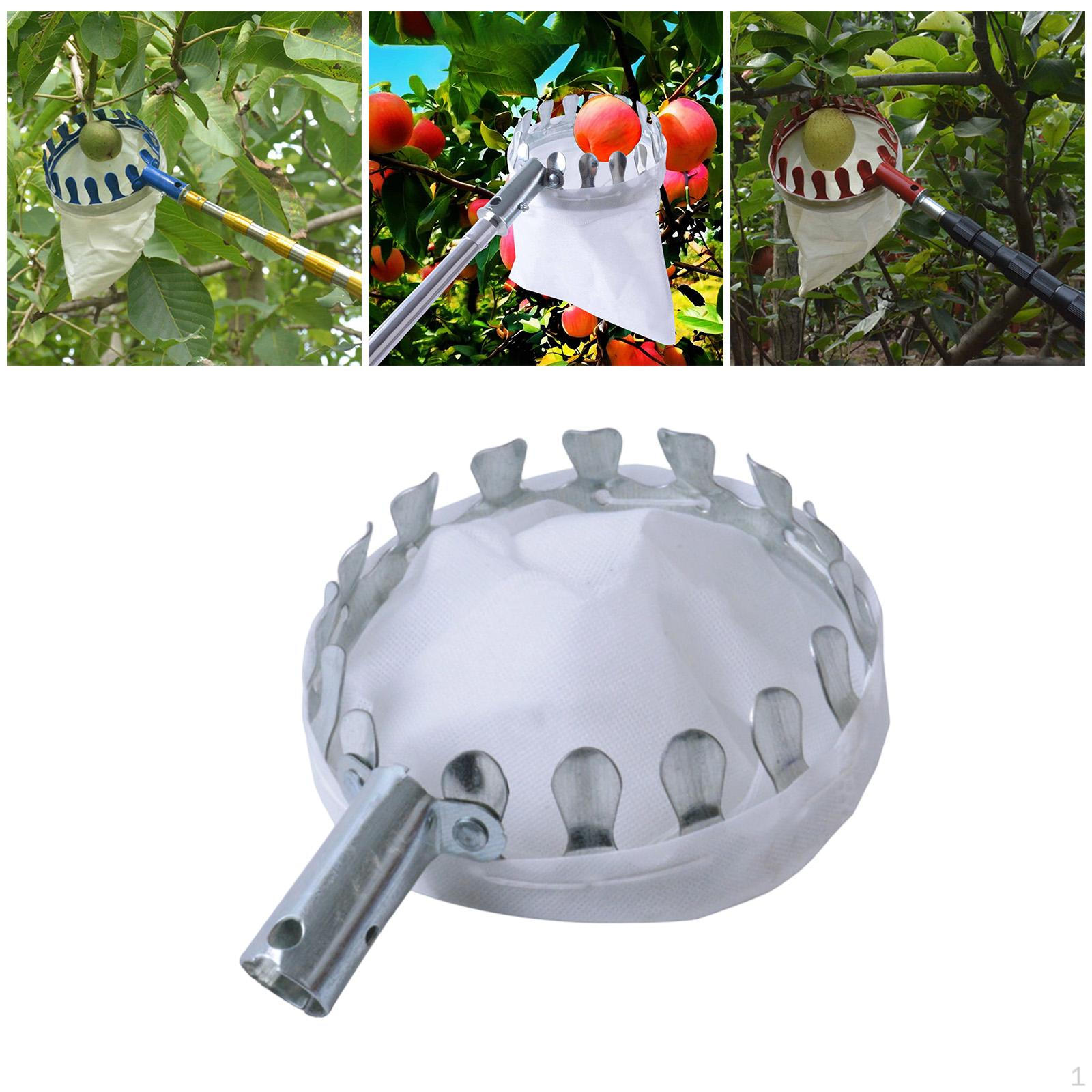 Fruit Picker Head Basket Harvesting Tool Equipment Picking Catcher Bag Fruits Harvester for Type A
Fruit Picker Head Basket Harvesting Tool Equipment Picking Catcher Bag Fruits Harvester for Type A