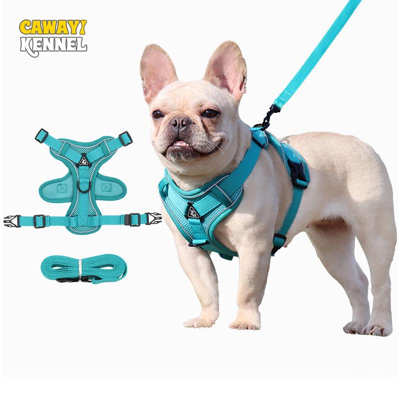 CAWAYI KENNEL Светоотражающий нейлоновый поводок для домашних животных, набор тренировочных прогулочных поводков для маленьких кошек и собак, поводок с ошейником, регулируемый набор поводков
CAWAYI KENNEL Светоотражающий нейлоновый поводок для домашних животных, набор тренировочных прогулочных поводков для маленьких кошек и собак, поводок с ошейником, регулируемый набор поводков