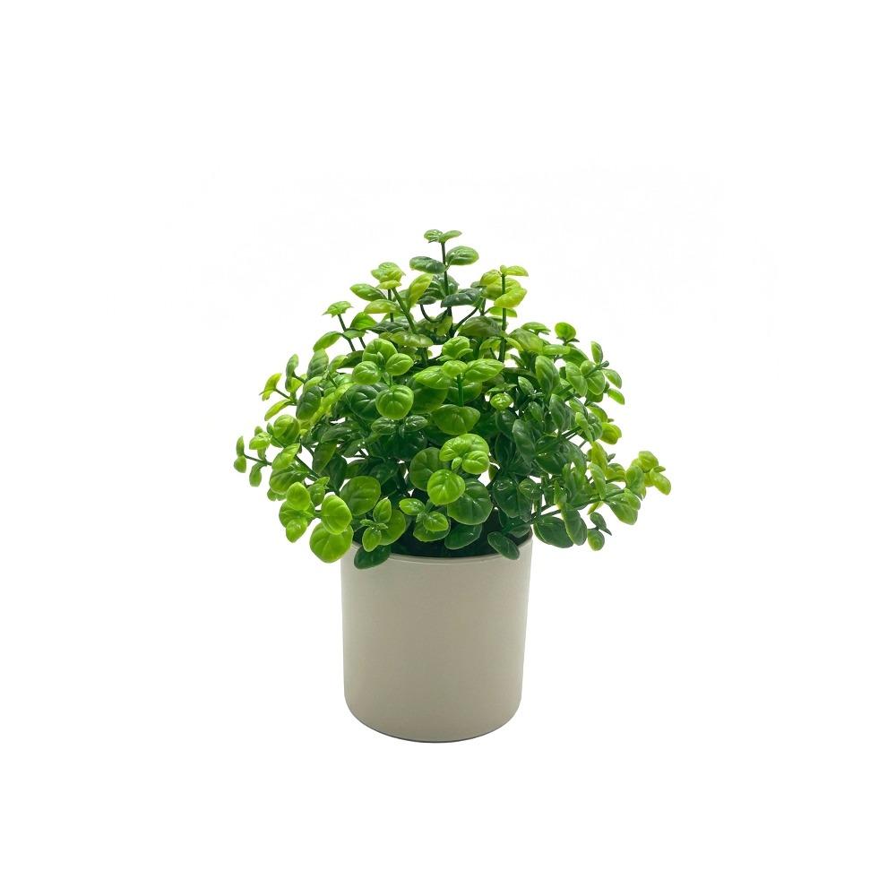 Green Artificial Plant Bonsai Grass Leaves Photo Props Simulation Plant Flowerpotted Craft Accessories Faux Potted Decoration
Green Artificial Plant Bonsai Grass Leaves Photo Props Simulation Plant Flowerpotted Craft Accessories Faux Potted Decoration