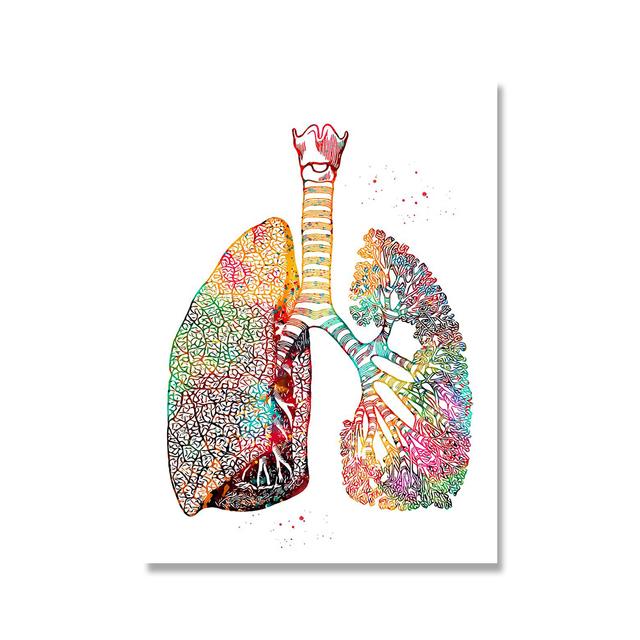 Красочный плакат с анатомией человека, работа, медицинская настенная картина, внутренности, мышцы, скелет, печать на холсте, живопись, декор для больницы и клиники 70x120 No Frame
Красочный плакат с анатомией человека, работа, медицинская настенная картина, внутренности, мышцы, скелет, печать на холсте, живопись, декор для больницы и клиники 70x120 No Frame