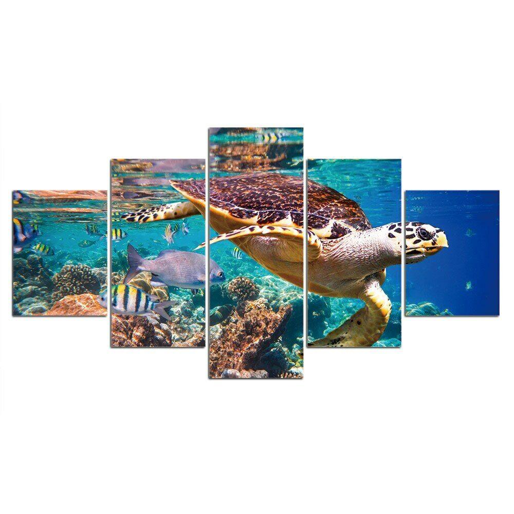 5 шт. черепаха подводный морской Sealife 5 шт. картины холст картины настенный постер домашний декор абстрактный HD принт без рамки
5 шт. черепаха подводный морской Sealife 5 шт. картины холст картины настенный постер домашний декор абстрактный HD принт без рамки