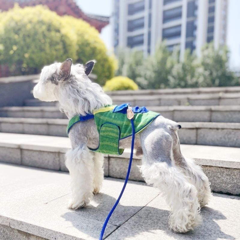 Pet Schnauzer Teddy summer thin handsome super breathable traction model can pull chest and back sleeveless vest S chest 35 about 3-3 kg
Pet Schnauzer Teddy summer thin handsome super breathable traction model can pull chest and back sleeveless vest S chest 35 about 3-3 kg