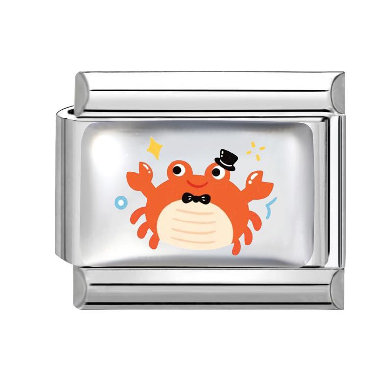 Cute Ocean Series Crab Turtle Dolphin Starfish Colorful Italian Charm Links Fit 9mm Stainless Steel Bracelet Jewelry DIY Making
Cute Ocean Series Crab Turtle Dolphin Starfish Colorful Italian Charm Links Fit 9mm Stainless Steel Bracelet Jewelry DIY Making