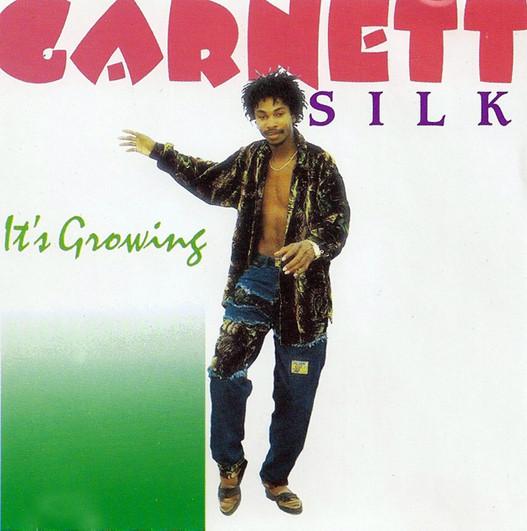 LP Record GARNETT SILK - It s Growing VPRL1255 VP Records 1992 US Reggae, Ska & Dub Used
LP Record GARNETT SILK - It s Growing VPRL1255 VP Records 1992 US Reggae, Ska & Dub Used
