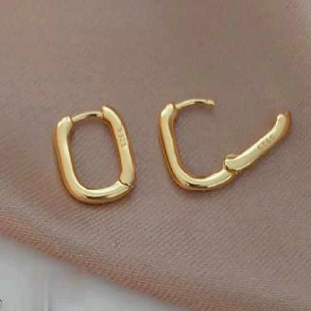 CIAXY Silver Color O Shaped Oval Earrings for Women Prevent Allergy Geometric Ellipse Earrings Ear Buckles Jewelry Gifts
CIAXY Silver Color O Shaped Oval Earrings for Women Prevent Allergy Geometric Ellipse Earrings Ear Buckles Jewelry Gifts