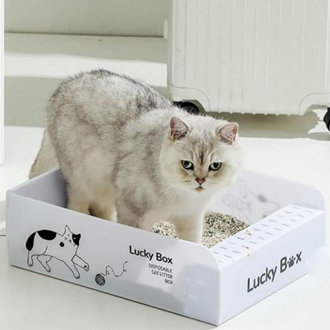 Lightweight Cat Litter Box Disposable Cat Sand Tray Portable Pets Toilet Household 54x40x17cm
Lightweight Cat Litter Box Disposable Cat Sand Tray Portable Pets Toilet Household 54x40x17cm