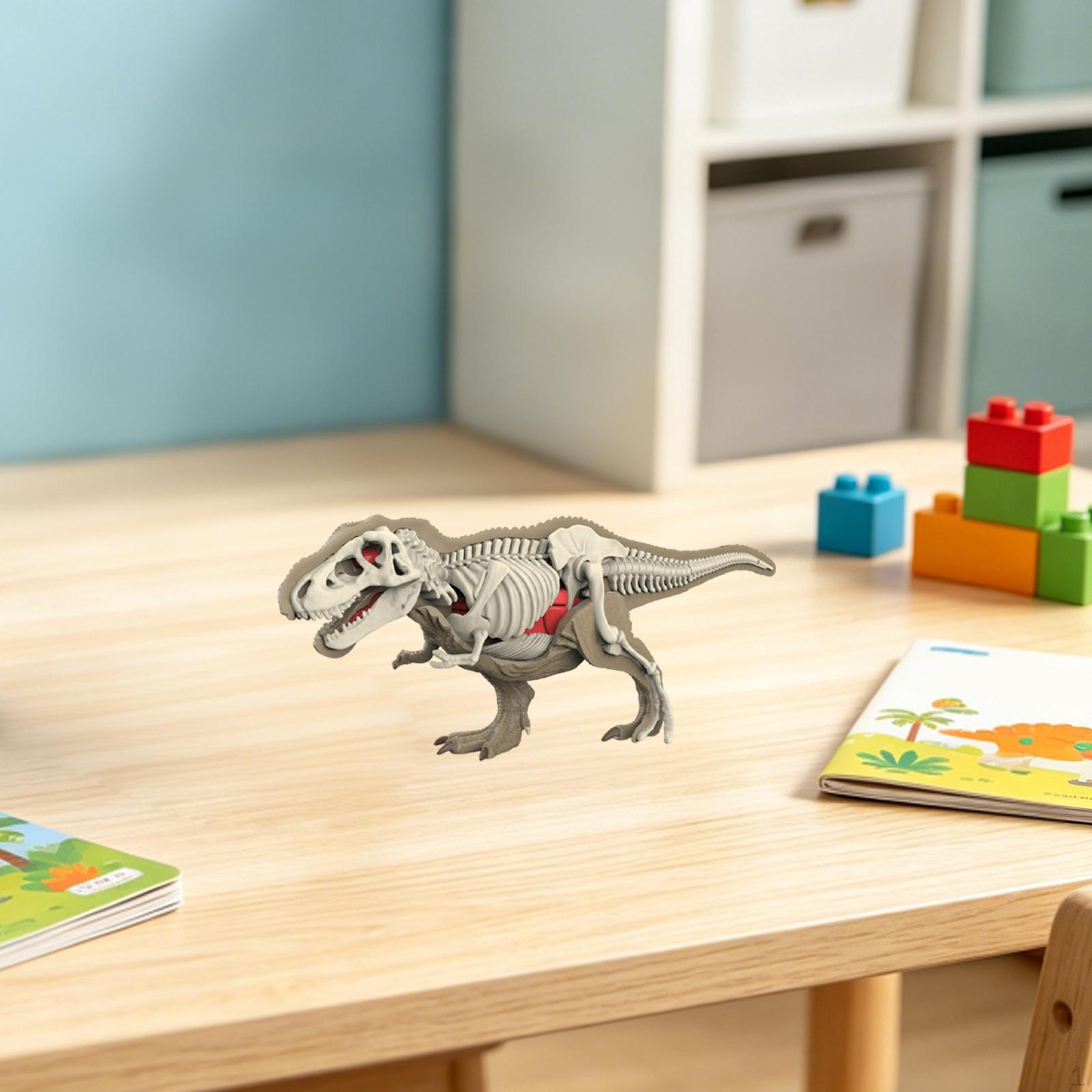 Animal Model Educational Toy with Detachable Organs, PP Assembly Function, Interactive Pedagogy for 3101
Animal Model Educational Toy with Detachable Organs, PP Assembly Function, Interactive Pedagogy for 3101