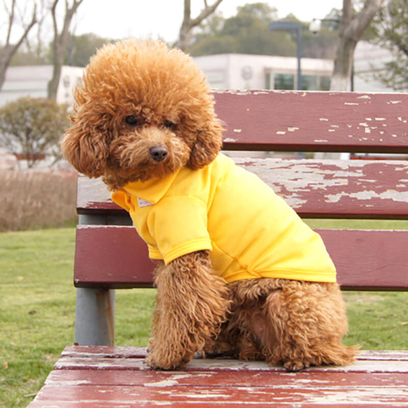 Pop Color Short Sleeve Dog Clothes (M/Yellow)
Pop Color Short Sleeve Dog Clothes (M/Yellow)