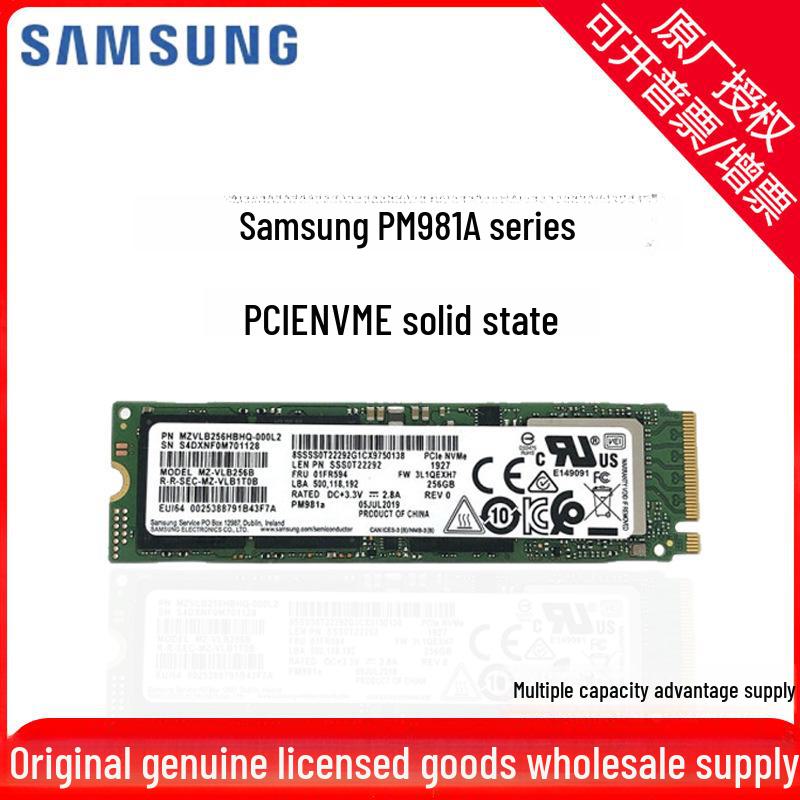 Samsung PM981A Series NVMe PCIe M.2 SSD - Available in 1TB, 512GB, 256GB.
Samsung PM981A Series NVMe PCIe M.2 SSD - Available in 1TB, 512GB, 256GB.